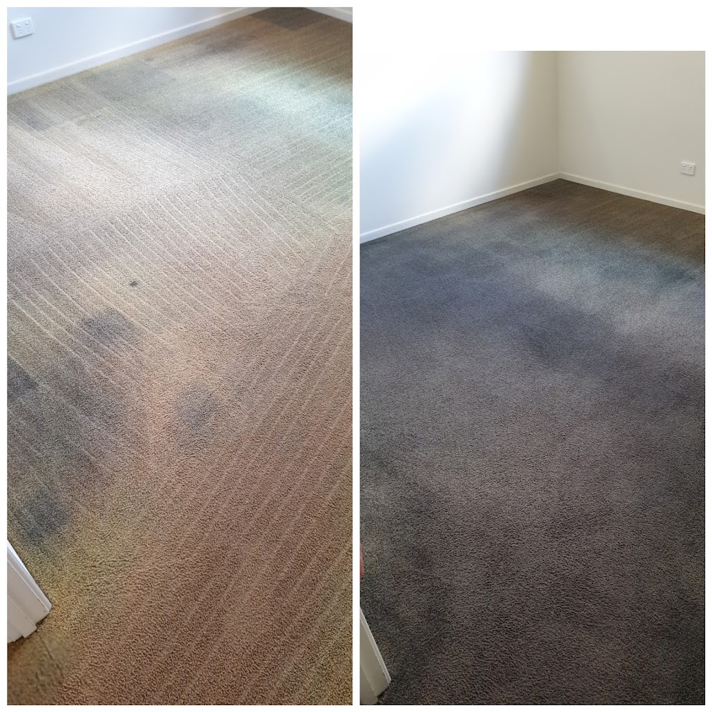 Coalfields Carpet Cleaning and Pest Control | point of interest | 32 Hannah Cres, Dysart QLD 4745, Australia | 0407589137 OR +61 407 589 137