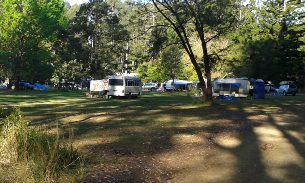 Coopernook State Forest | park | Moorland NSW 2443, Australia | 0265853744 OR +61 2 6585 3744