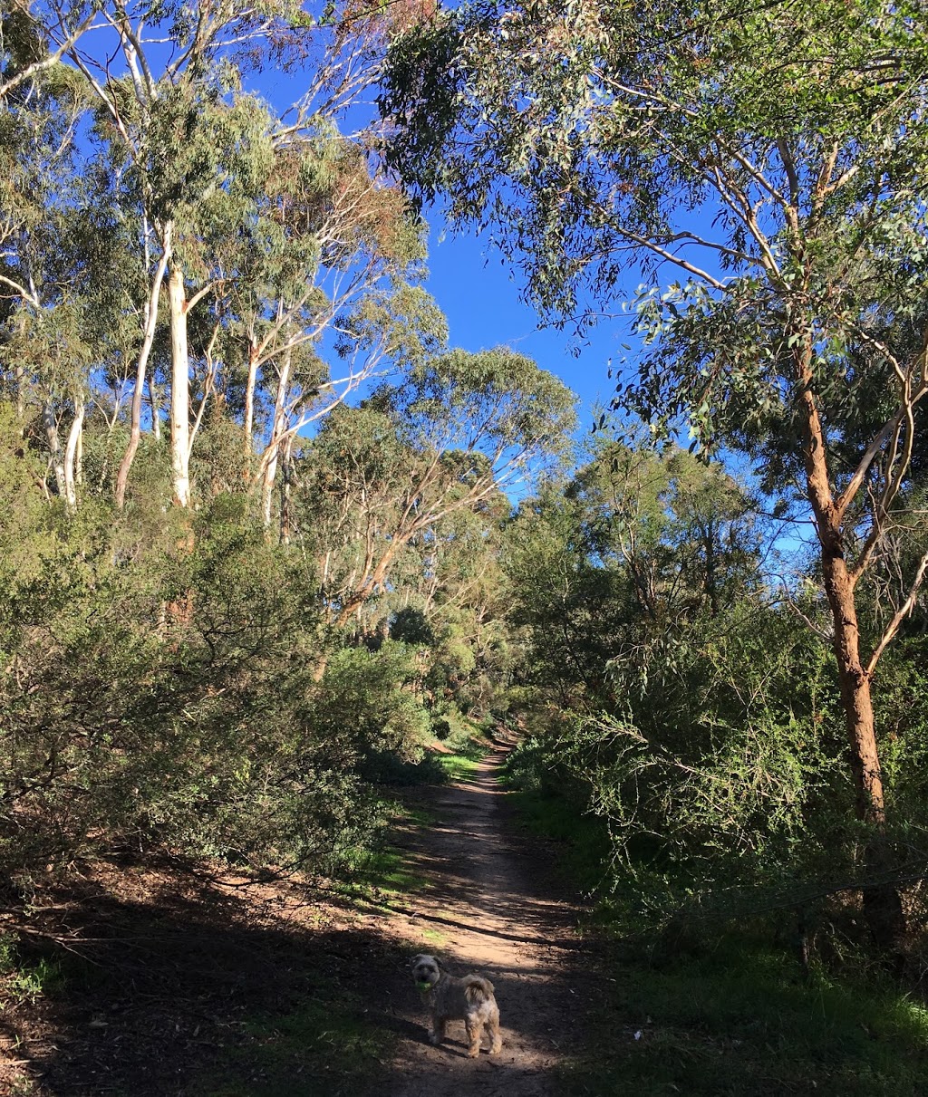 Boulevard Reserve | park | Moonee Ponds Creek Trail, Pascoe Vale South VIC 3044, Australia