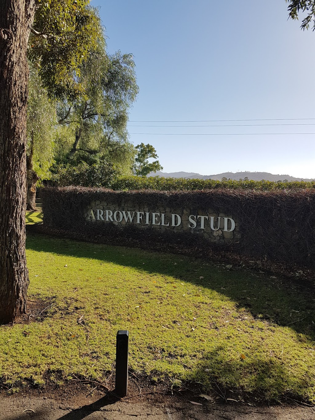 Arrowfield Stud |  | 898 Gundy Rd, Scone NSW 2337, Australia | 0265453999 OR +61 2 6545 3999