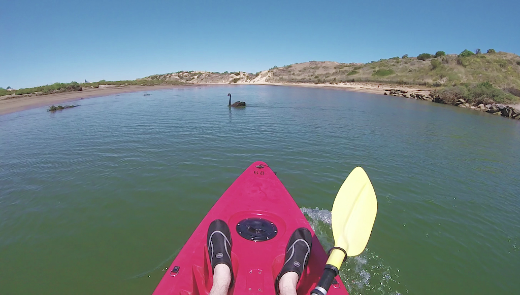 Easy Kayaks Rentals & Sales | store | 22 Wearing St, Port Noarlunga SA 5167, Australia | 0432923084 OR +61 432 923 084