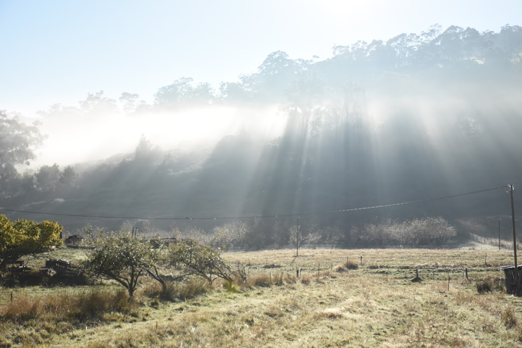 Pure Mist - Water, Gin & Tequila | food | 101 Scotts Rd, Geeveston TAS 7116, Australia | 0417229078 OR +61 417 229 078