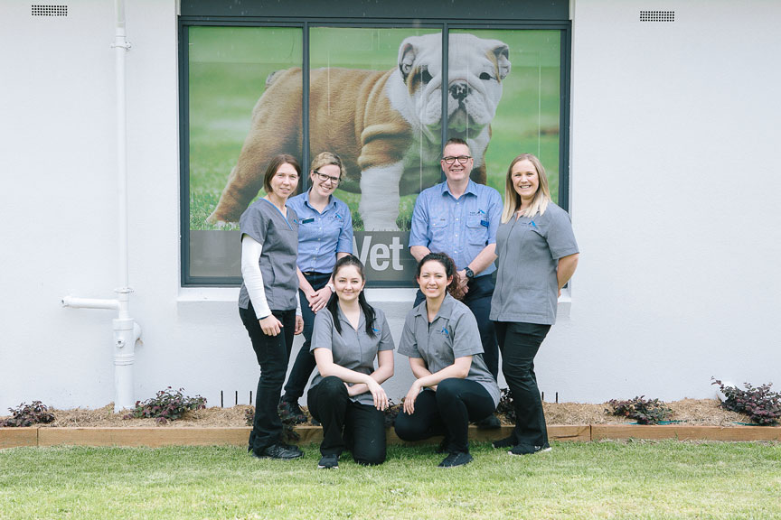 Narre Warren Veterinary Clinic | veterinary care | 459 Princes Hwy, Narre Warren VIC 3805, Australia | 0397046463 OR +61 3 9704 6463