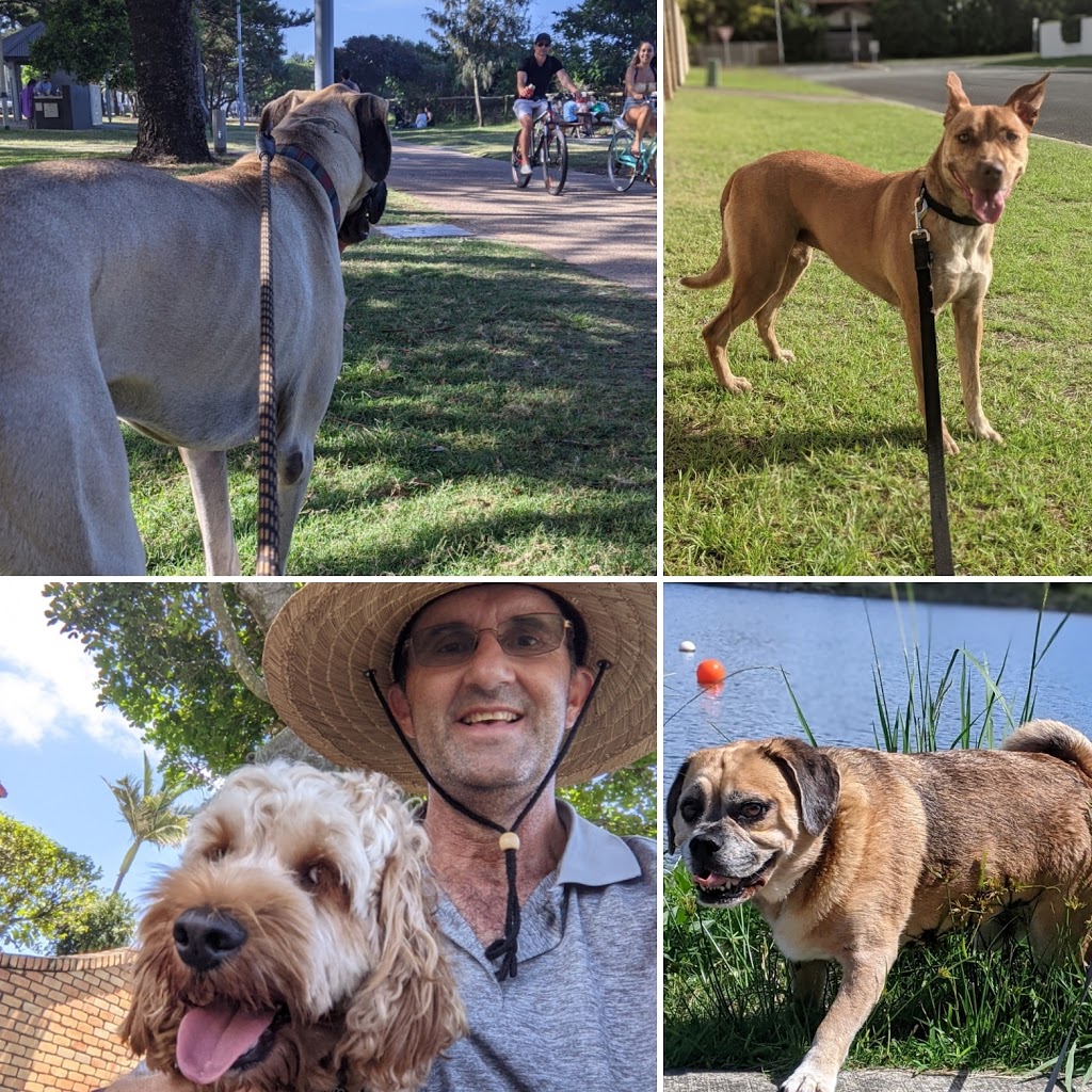 Adrians Dog Walking | 15 Highgate Ln, Robina QLD 4226, Australia | Phone: 0451 633 308