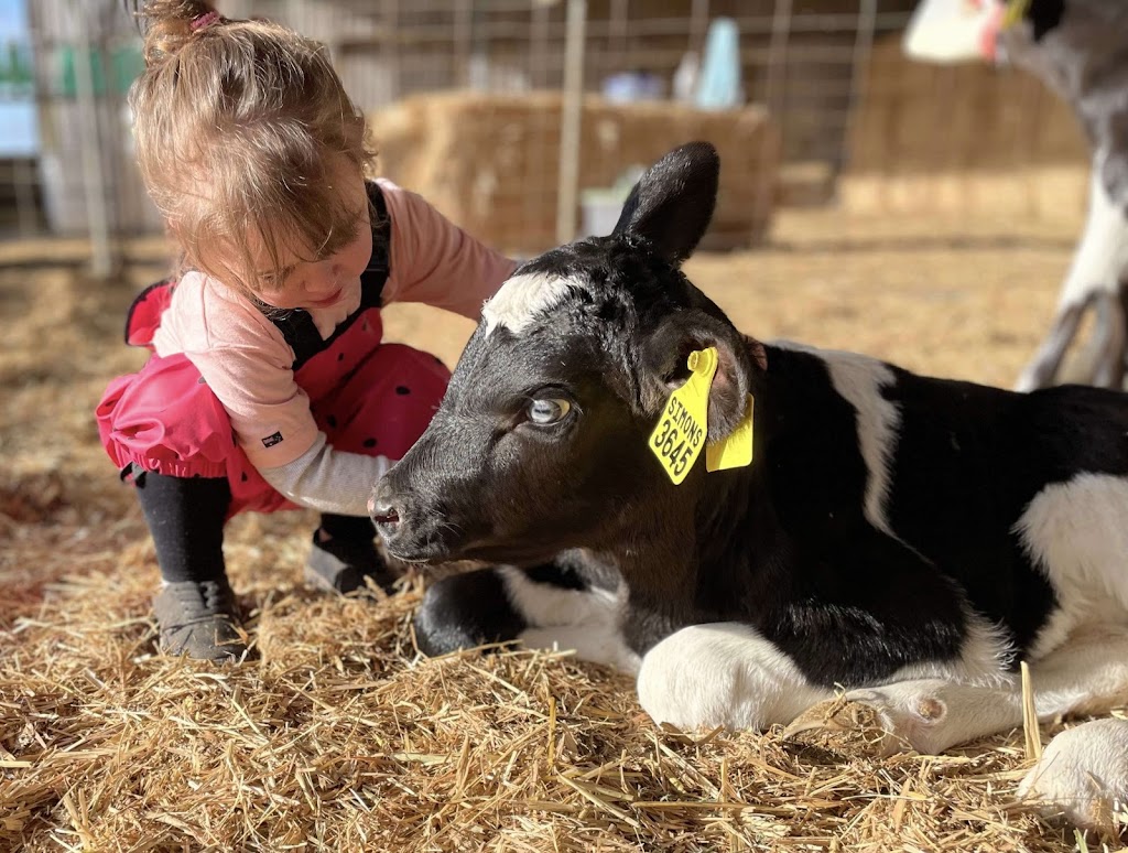 Dairy Adventures | 395 Belvedere Rd, Mannum SA 5238, Australia | Phone: 0499 007 672