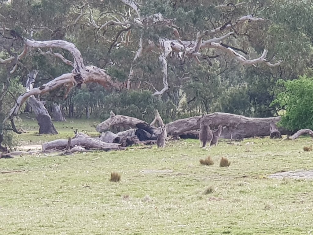 Woodlands Homestead | museum | Woodlands Dr, Greenvale VIC 3059, Australia