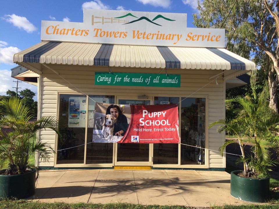 Charters Towers Veterinary Service | veterinary care | 167 Gill St, Queenton QLD 4820, Australia | 0747547400 OR +61 7 4754 7400