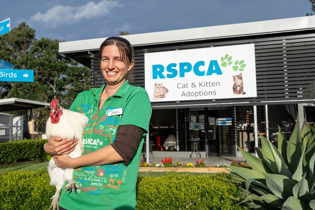 RSPCA Gympie |  | Lot 6 Laurenceson Rd, Glanmire QLD 4570, Australia | 0754829407 OR +61 7 5482 9407