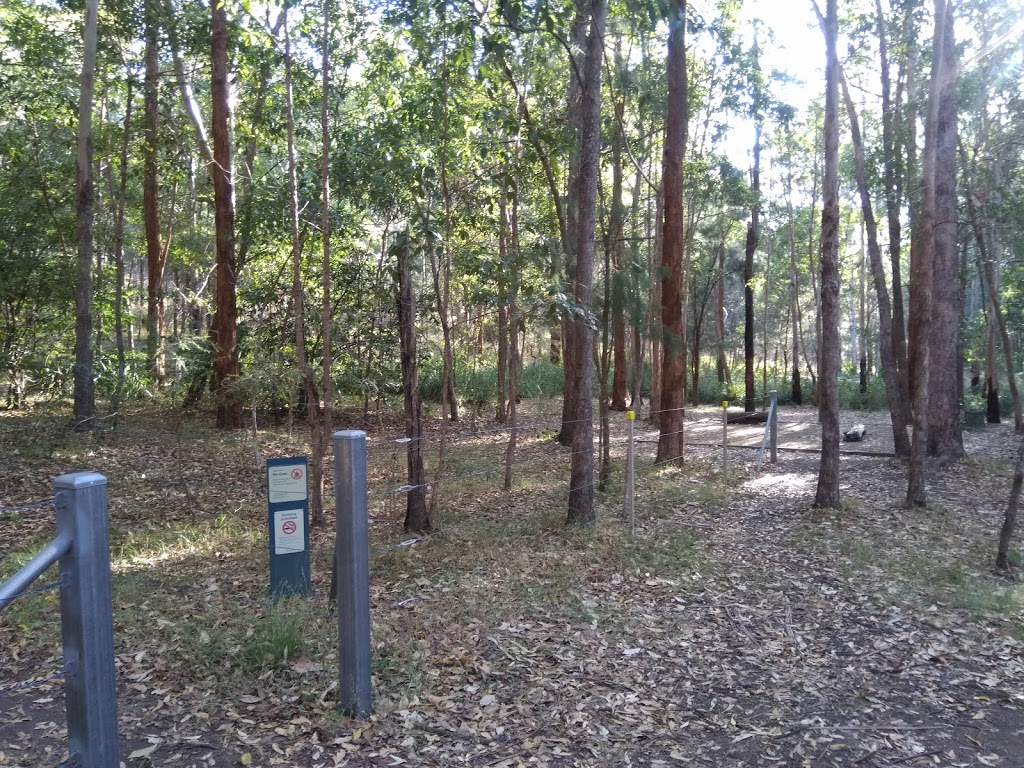 Lower Portals Camping Area | campground | Mount Barney QLD 4287, Australia | 137468 OR +61 137468