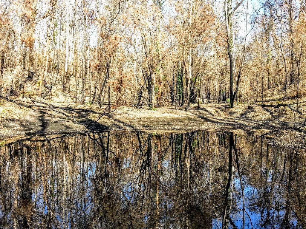 Poo Ponds Mountain Bike Trailhead | Andy Poole Dr, Tathra NSW 2550, Australia