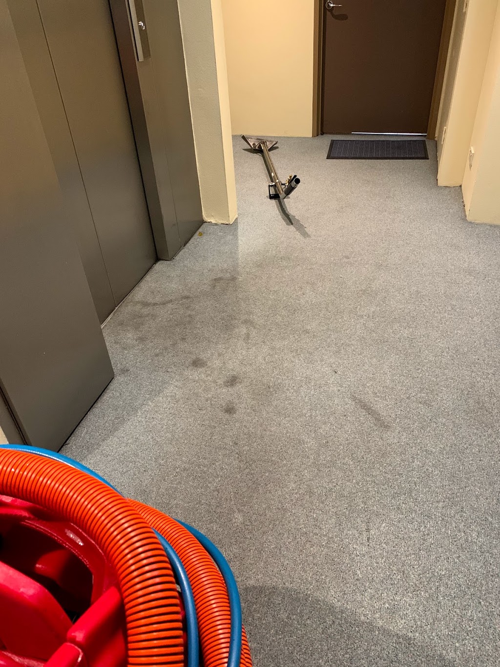 Aaa spring carpet clean | 94 Culloden Rd, Marsfield NSW 2122, Australia | Phone: 0410 345 128