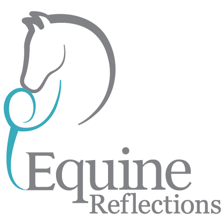 Equine Reflections Victoria | 520 Mickleham Rd, Attwood VIC 3049, Australia | Phone: 0499 191 978