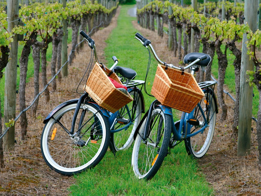 Canberra Wine Region E-Bike Tours | 5 Armstrong St, Murrumbateman NSW 2582, Australia | Phone: 0490 045 432