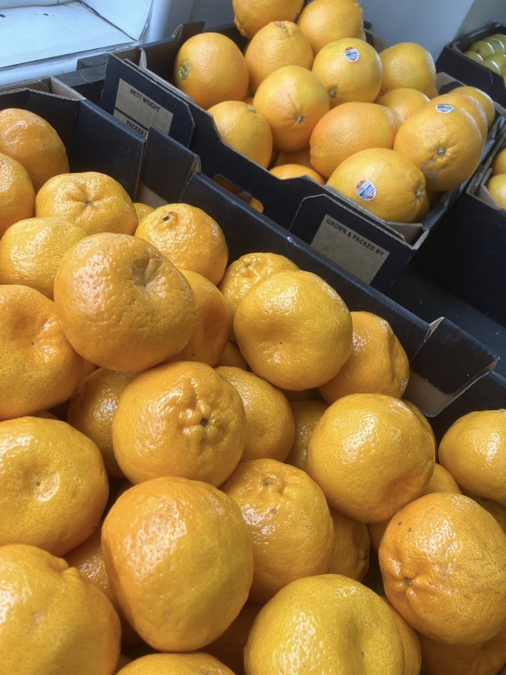 Harvest Fresh Tatura | 51-55 Hogan St, Tatura VIC 3616, Australia | Phone: 0419 310 135