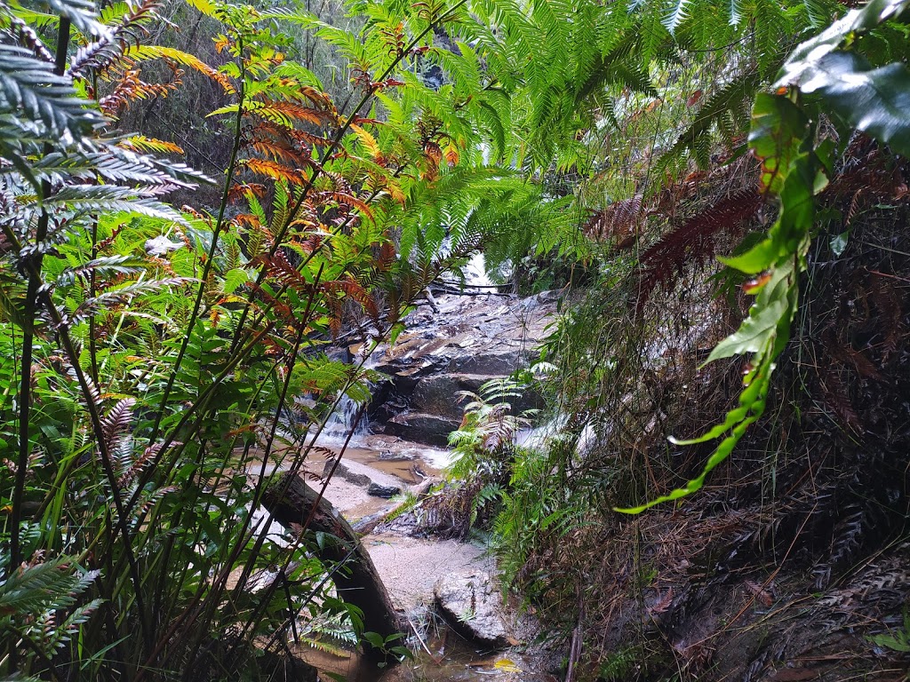 Lawson Falls | tourist attraction | Forest Rd, Gentle Annie VIC 3833, Australia | 131963 OR +61 131963