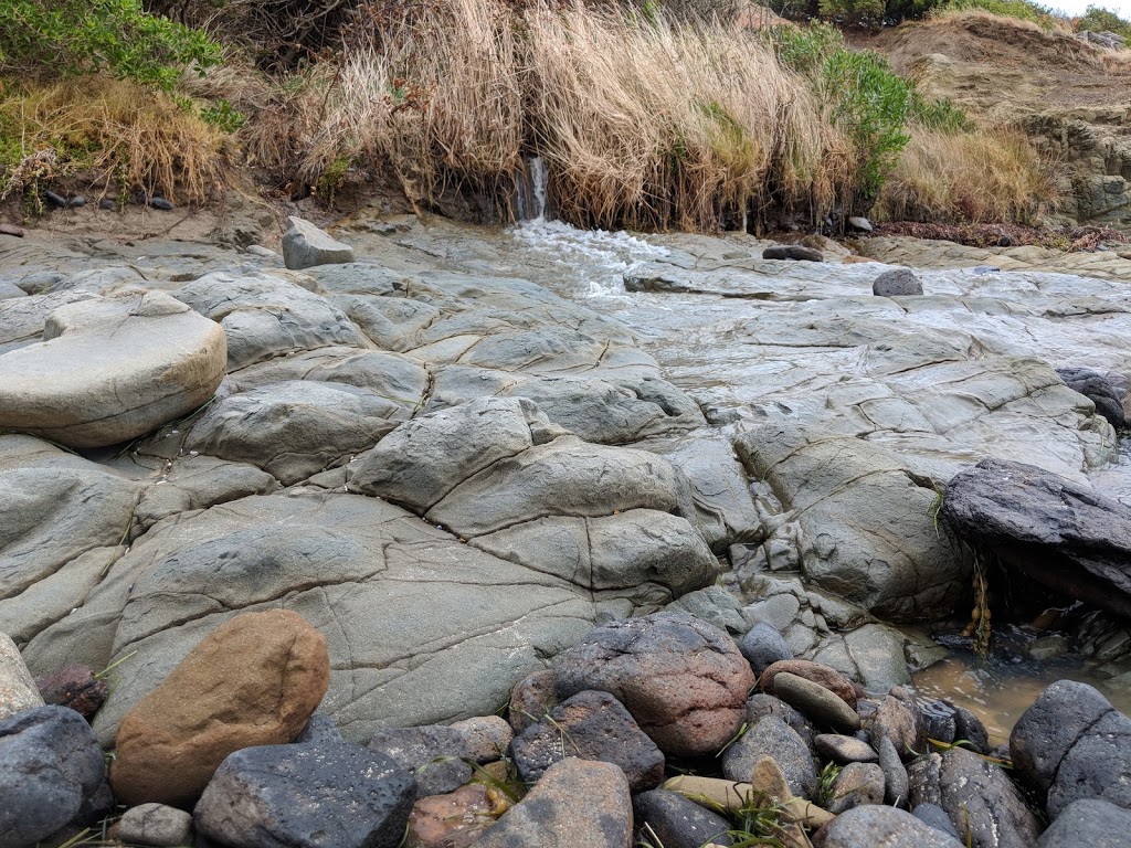 Dog Friendly Beach - San Remo | park | San Remo Coastal Circuit, San Remo VIC 3925, Australia | 0407996763 OR +61 407 996 763