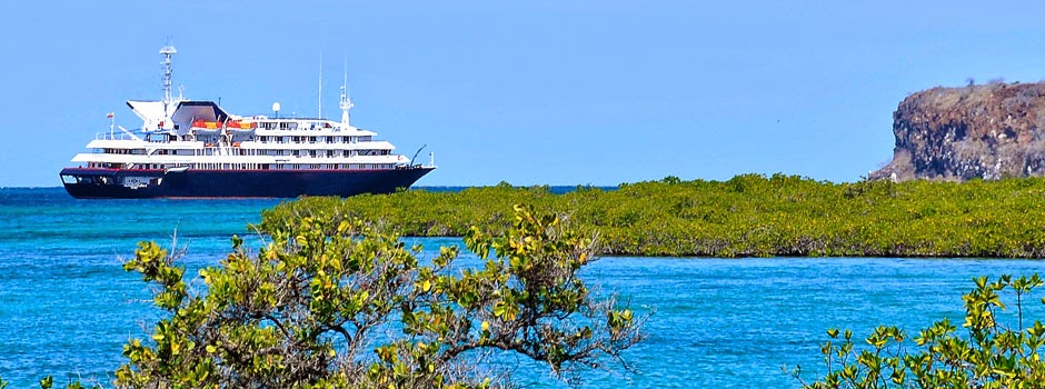 Cruise Megastore | travel agency | 58 Kingston Dr, Helensvale QLD 4212, Australia | 1300657948 OR +61 1300 657 948