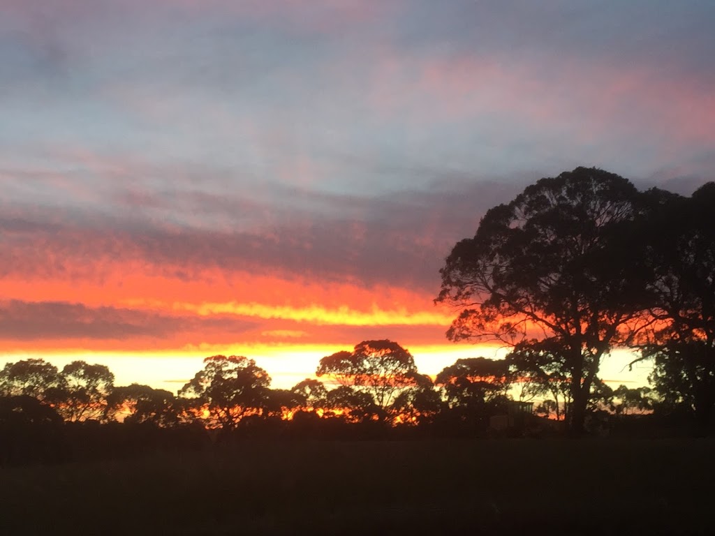 Hidden Rivers Horse Agistment & Laser Therapy | 621 Flaxley Rd, Bugle Ranges SA 5251, Australia | Phone: 0413 580 120