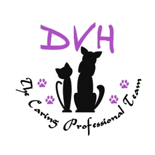 Dandenong Veterinary Hospital | veterinary care | 118 Princes Hwy, Dandenong VIC 3175, Australia | 0397924787 OR +61 3 9792 4787