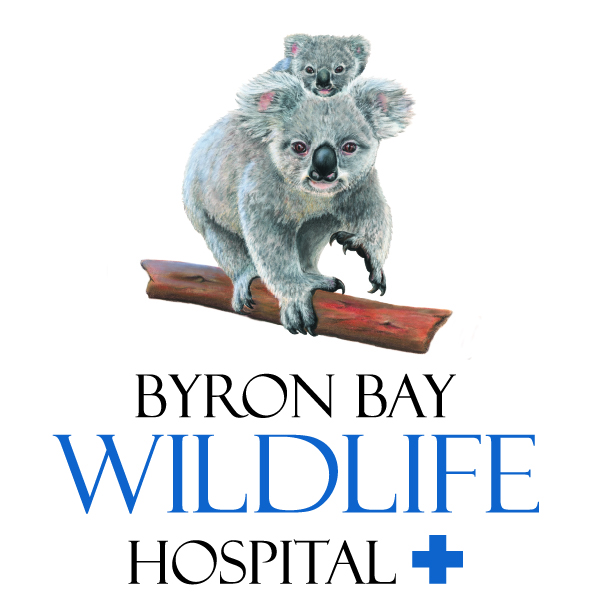 Byron Bay Wildlife Hospital Ltd | veterinary care | 419 Hinterland Wy, Knockrow NSW 2479, Australia | 1300945354 OR +61 1300 945 354