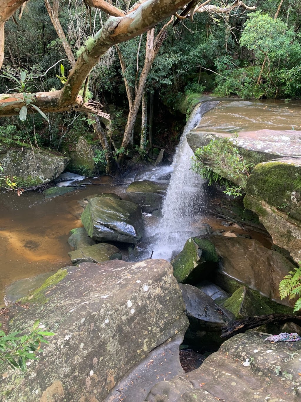 Somersby Falls picnic area | Somersby Falls Rd, Somersby NSW 2250, Australia | Phone: (02) 4320 4200