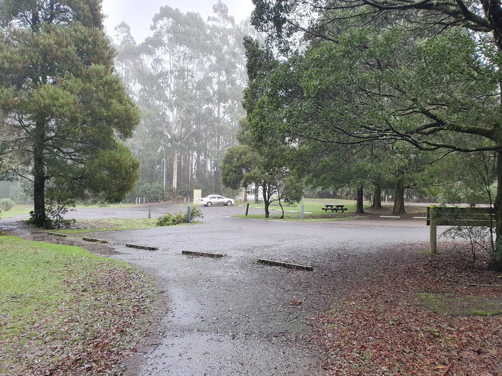 Tarra-Bulga National Park | park | Victoria 3971, Australia | 131963 OR +61 131963