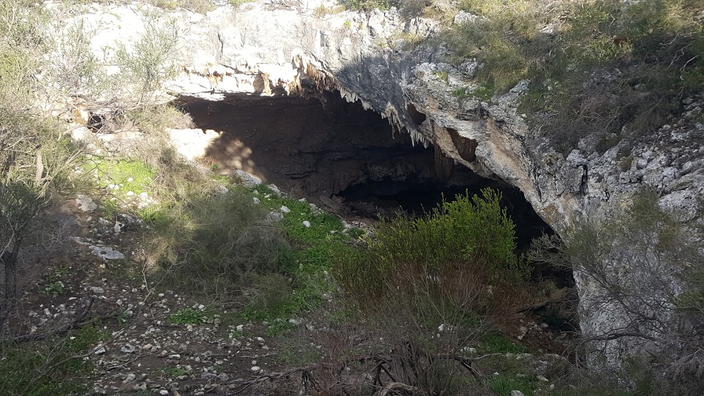 Drovers Cave National Park | park | Jurien Rd, Jurien Bay WA 6516, Australia | 0896886000 OR +61 8 9688 6000