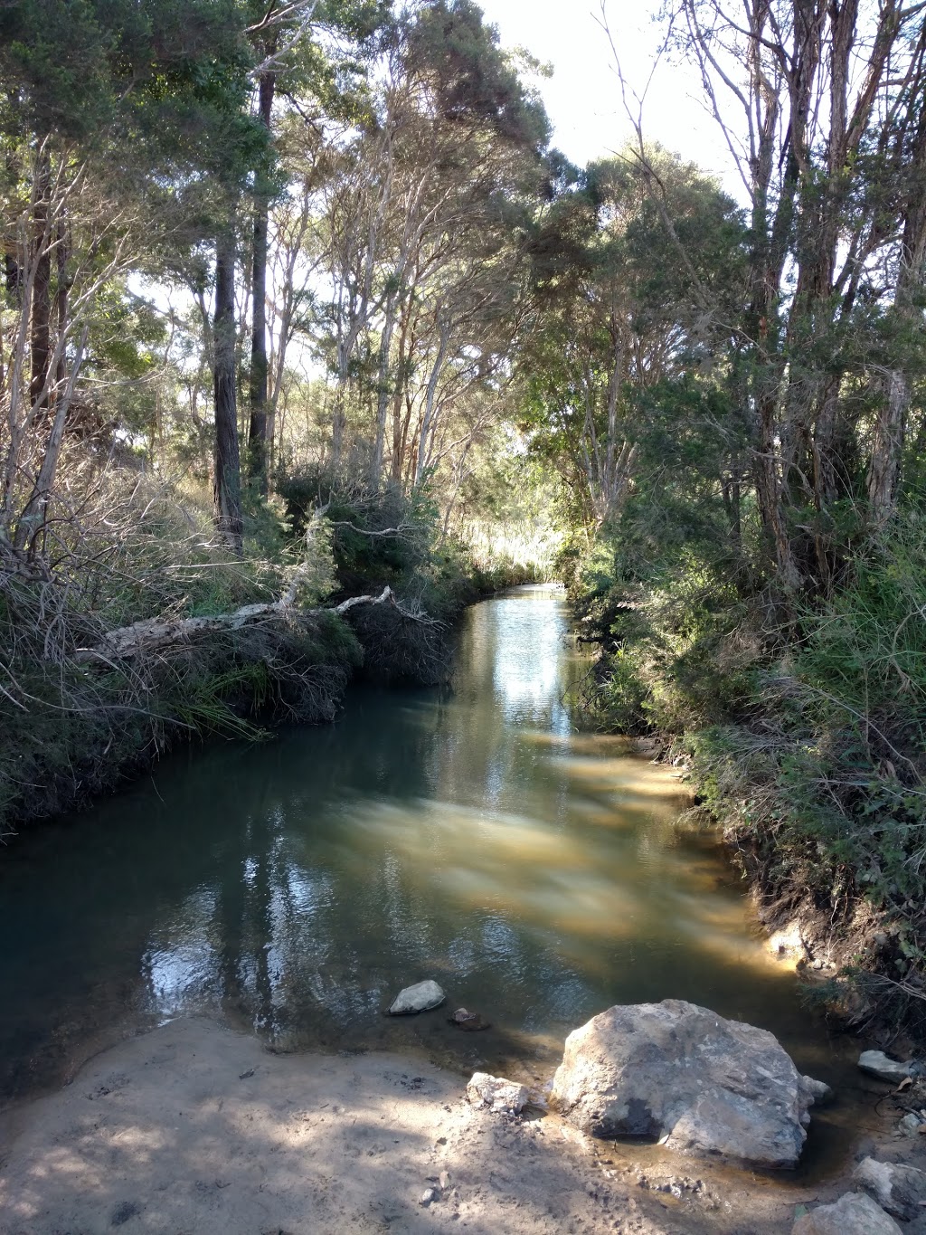 The Pines Flora and Fauna Reserve | park | Victoria, Australia | 131963 OR +61 131963