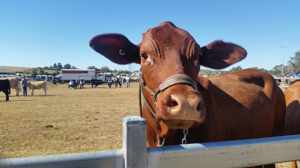 Kalbar Showgrounds | park | LOT 377 George St, Kalbar QLD 4309, Australia