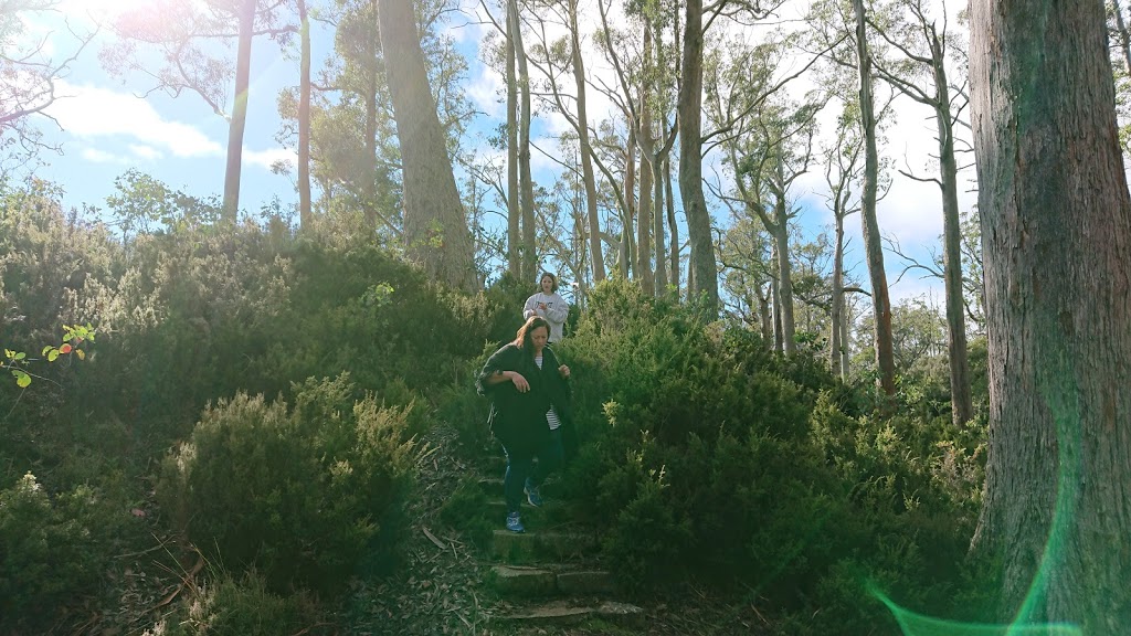 Ben Lomond Camp Ground | campground | Unnamed Road, Ben Lomond TAS 7212, Australia