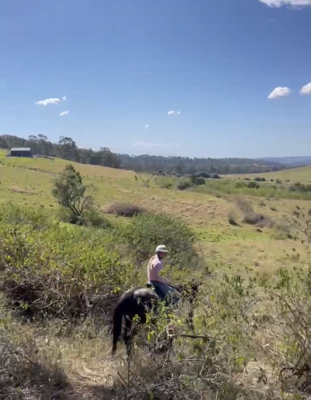 Herway horsemanship | 375 Burragorang Rd, Glenmore NSW 2570, Australia | Phone: 0478 191 104