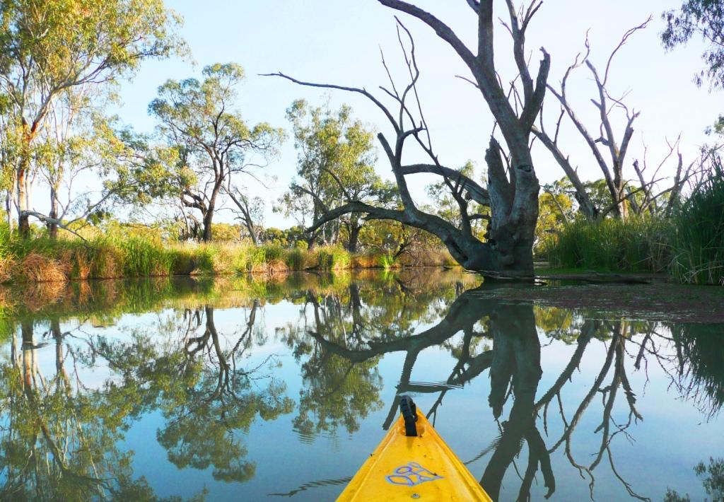 Canoe Adventures - Riverland | Riverview Dr, Berri SA 5343, Australia