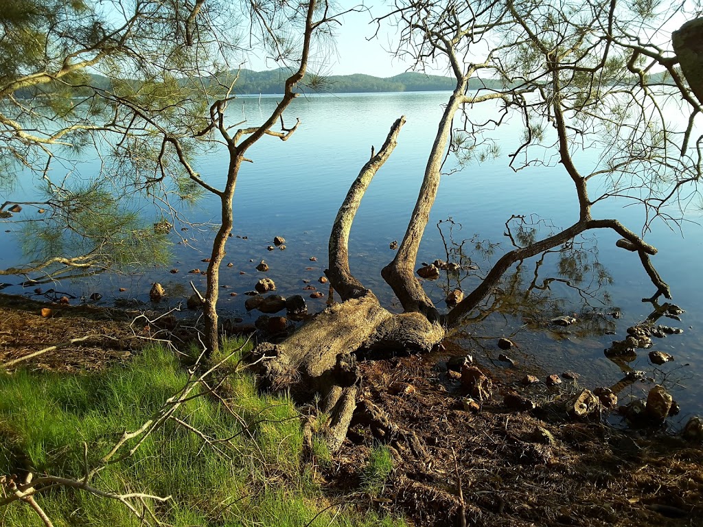 Queens Lake Sailing Club Reserve | park | 304 Ocean Dr, Lakewood NSW 2443, Australia