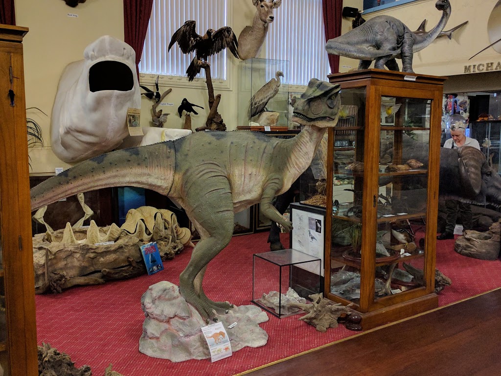 Museum of Natural History | museum | 131 James St, Guildford WA 6055, Australia | 0893773884 OR +61 8 9377 3884