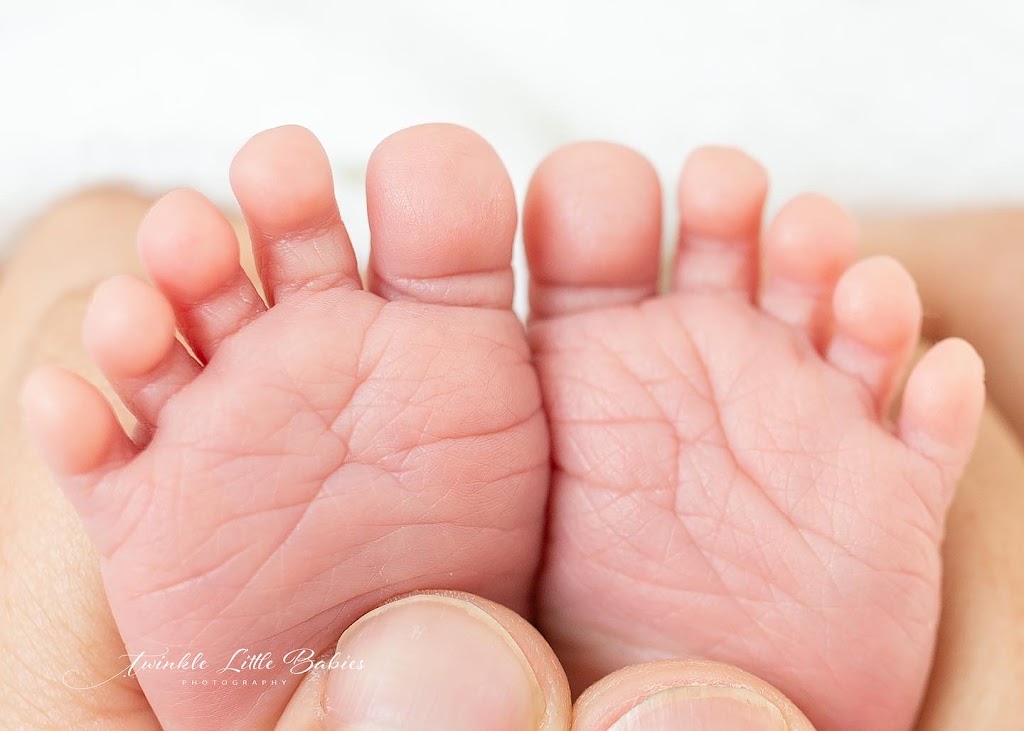 Twinkle Little Babies Photography | 168 Mountain View Rd, Balwyn North VIC 3104, Australia | Phone: 0409 988 979