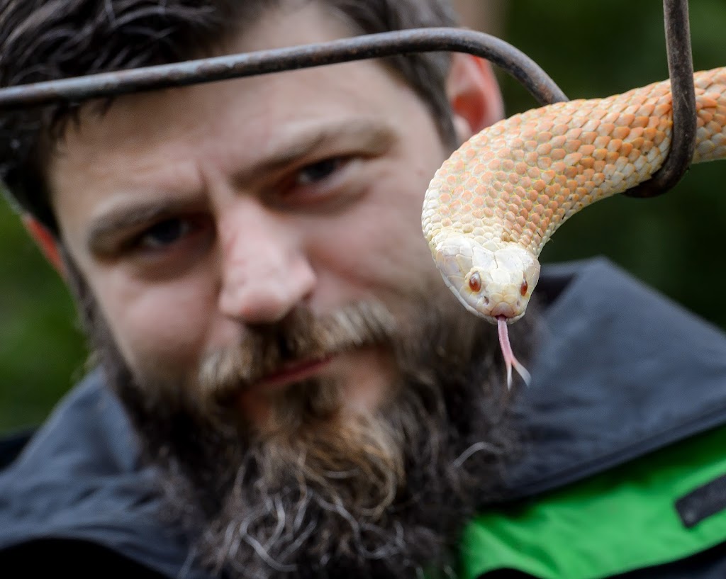 Snake safety | 69 Braeside Dr, Launching Place VIC 3796, Australia | Phone: 0432 143 228