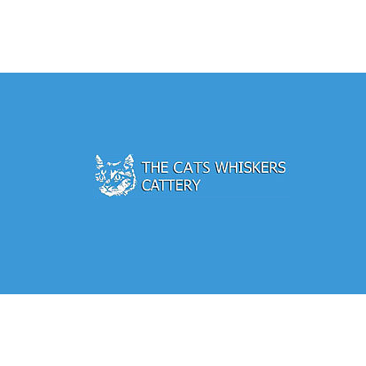 Cats Whiskers Cattery | 14 Willawong Cres, Nerang QLD 4211, Australia | Phone: (07) 5578 3085