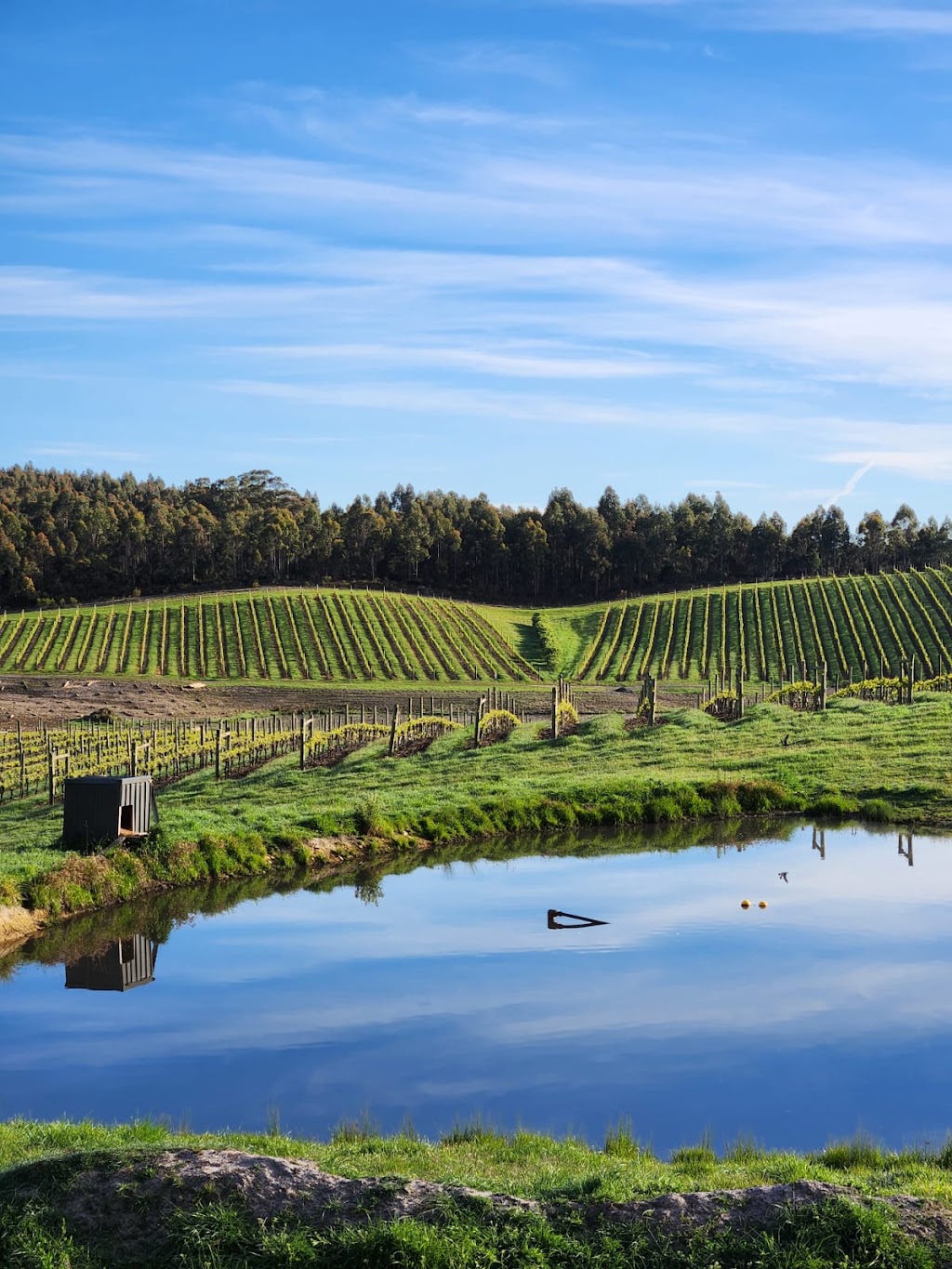 Russell and Suitor Wines | 1866 Pipers River Rd, Lower Turners Marsh TAS 7267, Australia | Phone: 0400 960 471