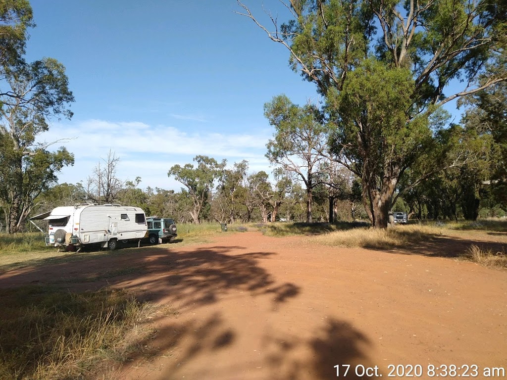 Terramungamine Reserve | campground | LOT 135 Burraway Rd, Terramungamine NSW 2830, Australia