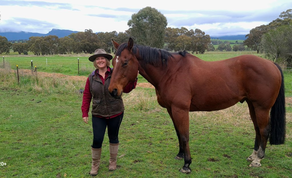 Bellview Connection Equine Assisted Therapy & Counselling | 258 Glue Pot Rd, Pomonal VIC 3381, Australia | Phone: 0429 353 680