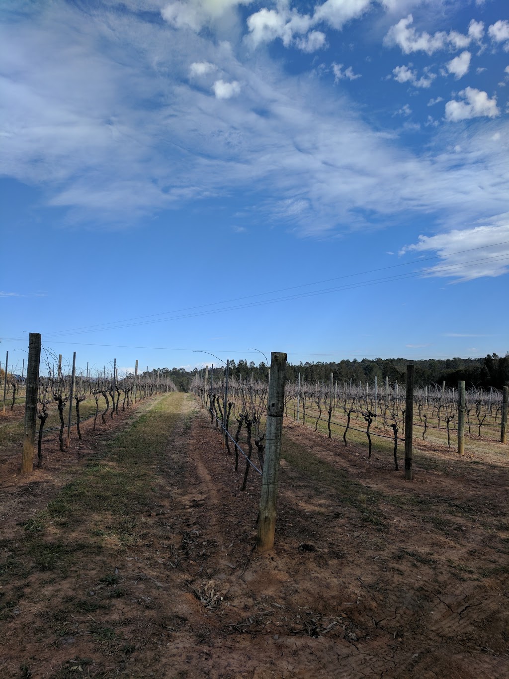 Ghost Riders Vineyard Lodge | 535 Hermitage Rd, Pokolbin NSW 2320, Australia | Phone: 0409 664 983