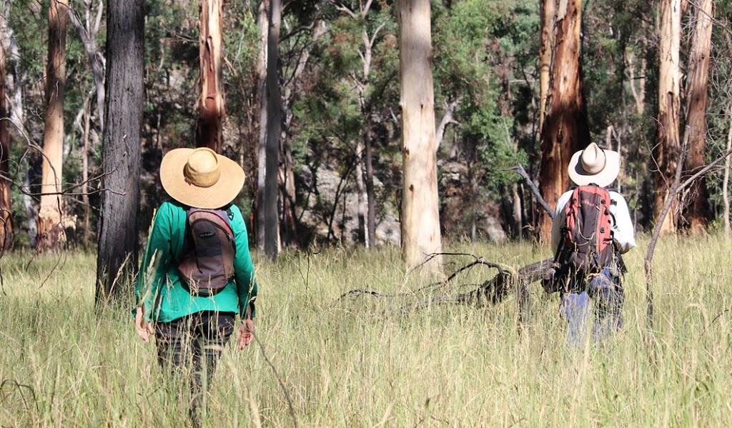 Boobook Ecotours Outback Queensland |  | 15 Quintin St, Roma QLD 4455, Australia | 0746222646 OR +61 7 4622 2646