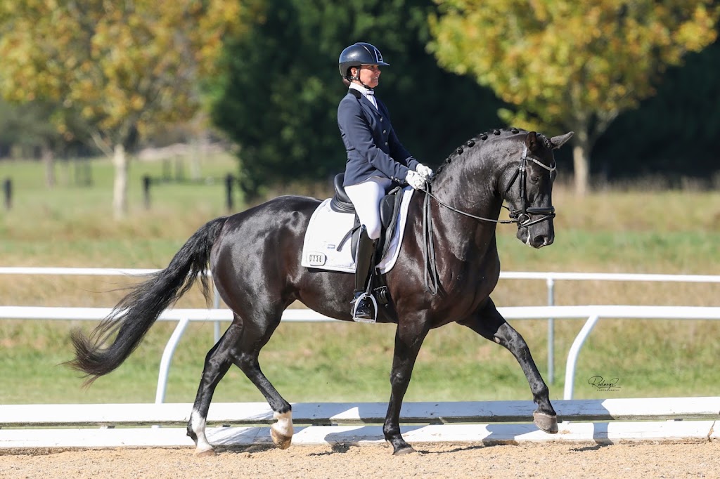 Kumandra Equine Therapies | 70 Palmdale Rd, Palmdale NSW 2258, Australia | Phone: 0434 305 309