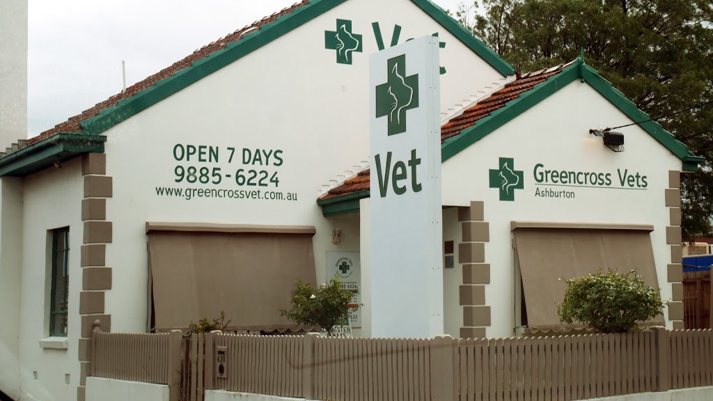 Greencross Vets Ashburton | veterinary care | 428 Warrigal Rd, Ashburton VIC 3147, Australia | 0398856224 OR +61 3 9885 6224