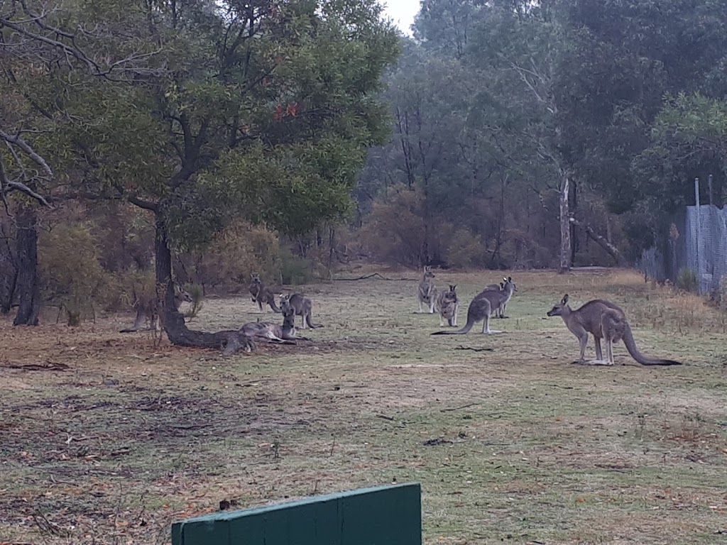 Greswell Wildlife reserve | LOT RES38 Forestwood Dr, Macleod VIC 3085, Australia | Phone: 13 19 63