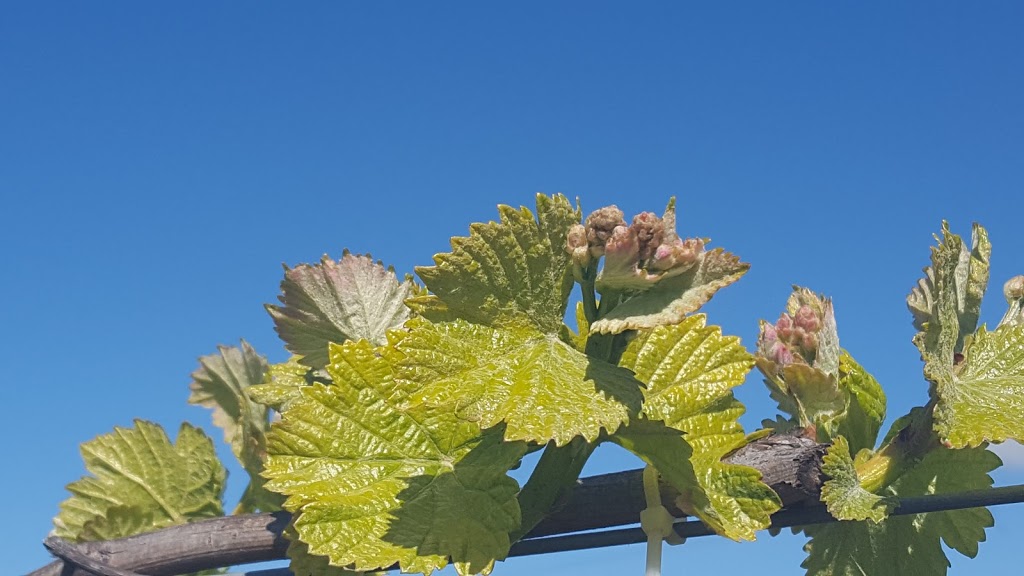 Highland Heritage Cellar Door | 4968 Mitchell Hwy, Orange NSW 2800, Australia | Phone: (02) 6363 5602