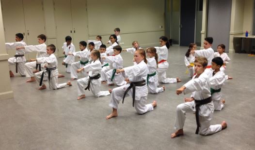 Okinawa Goju Ryu Karate Do Australia | White Hart Dr, Rouse Hill NSW 2155, Australia | Phone: 0409 822 285