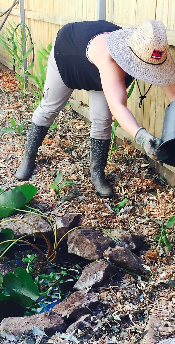 Bouddi Permaculture | 9 Killcare Rd, Killcare NSW 2257, Australia | Phone: 0407 591 278
