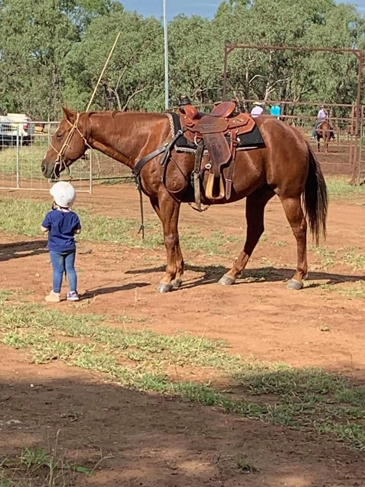 Townsville Horse Riding Centre |  | 20 Willing Dr, Nome QLD 4816, Australia | 0478675564 OR +61 478 675 564