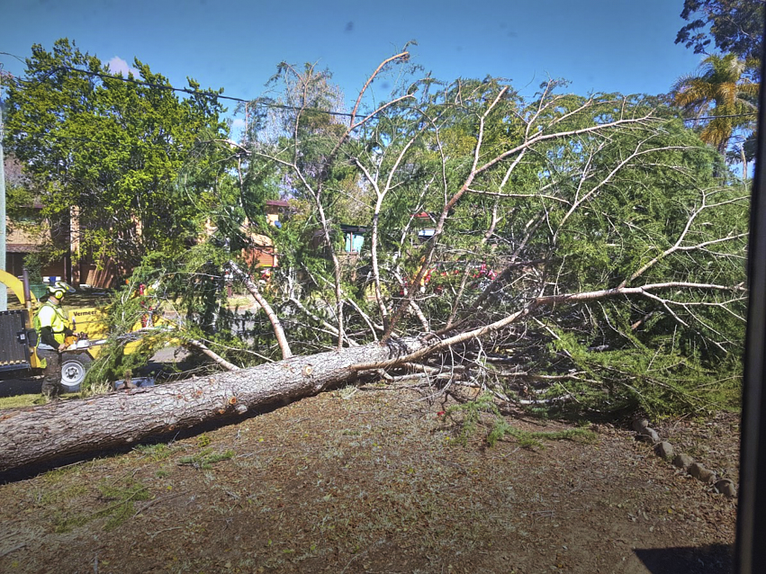 ASG Tree Services | 16-24 Tickner St, Castlereagh NSW 2749, Australia | Phone: 0415 583 100